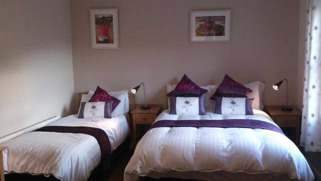 Roundstone Retreats Islandview B&B 객실 사진